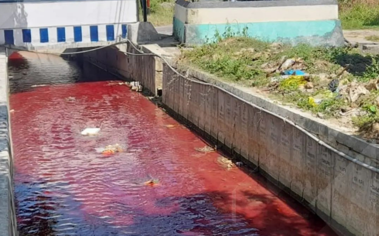 Geger! Air Sungai di Pamekasan Berwarna Merah Darah, Begini Ceritanya