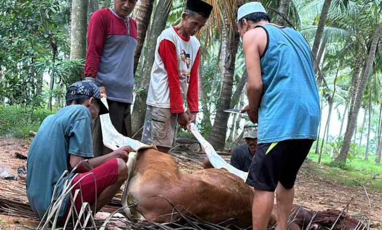 Arisan Daging Sapi, Tradisi Warga Sumenep Madura Jelang Lebaran