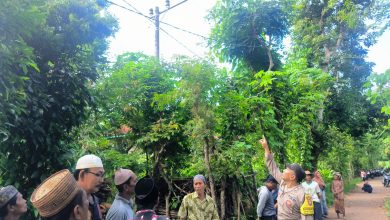 Bapak di Sumenep Tewas Tersengat Listrik Saat Cari Pakan Ternak