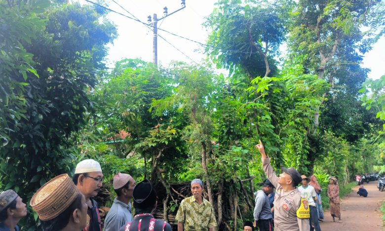 Bapak di Sumenep Tewas Tersengat Listrik Saat Cari Pakan Ternak